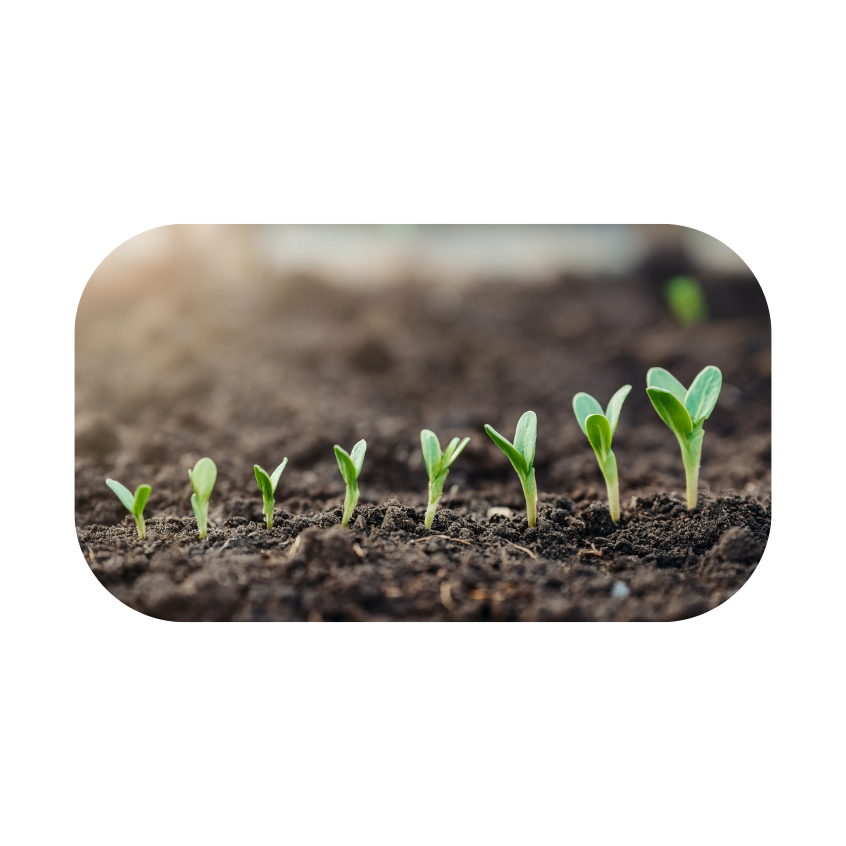 spring landscape 2 artwork.png