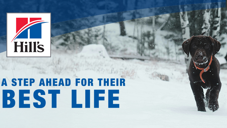 Science Diet Best Life Banner.png