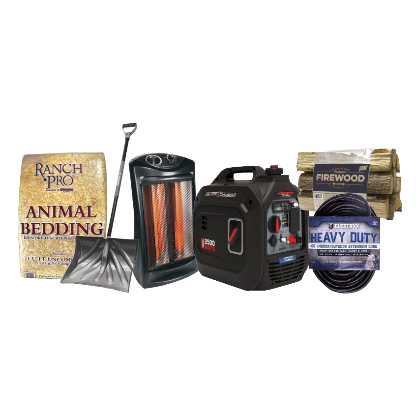 winter weather artwork 3.png