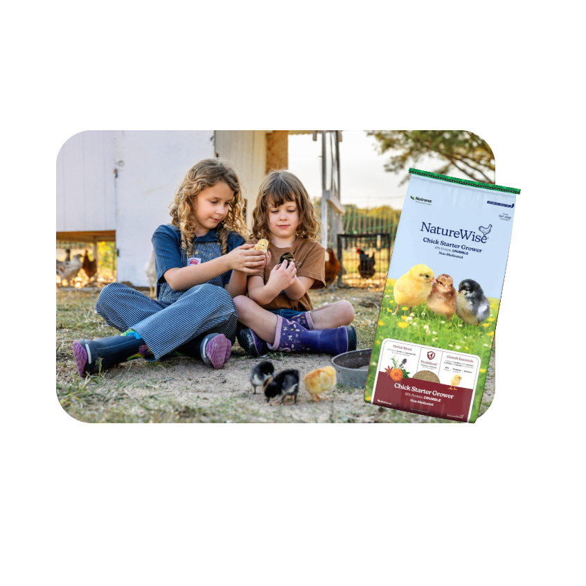 naturewise 4 artwork.png