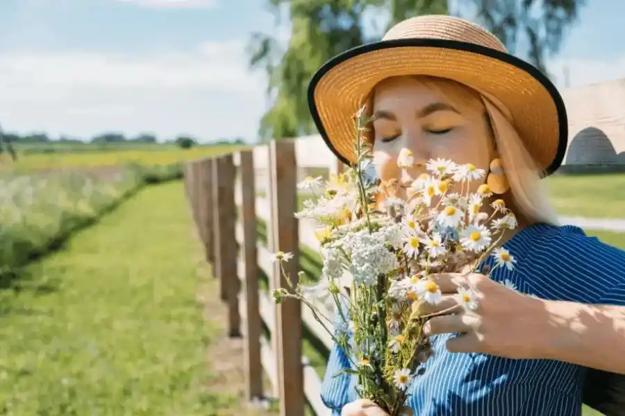 Homepage Spring.webp