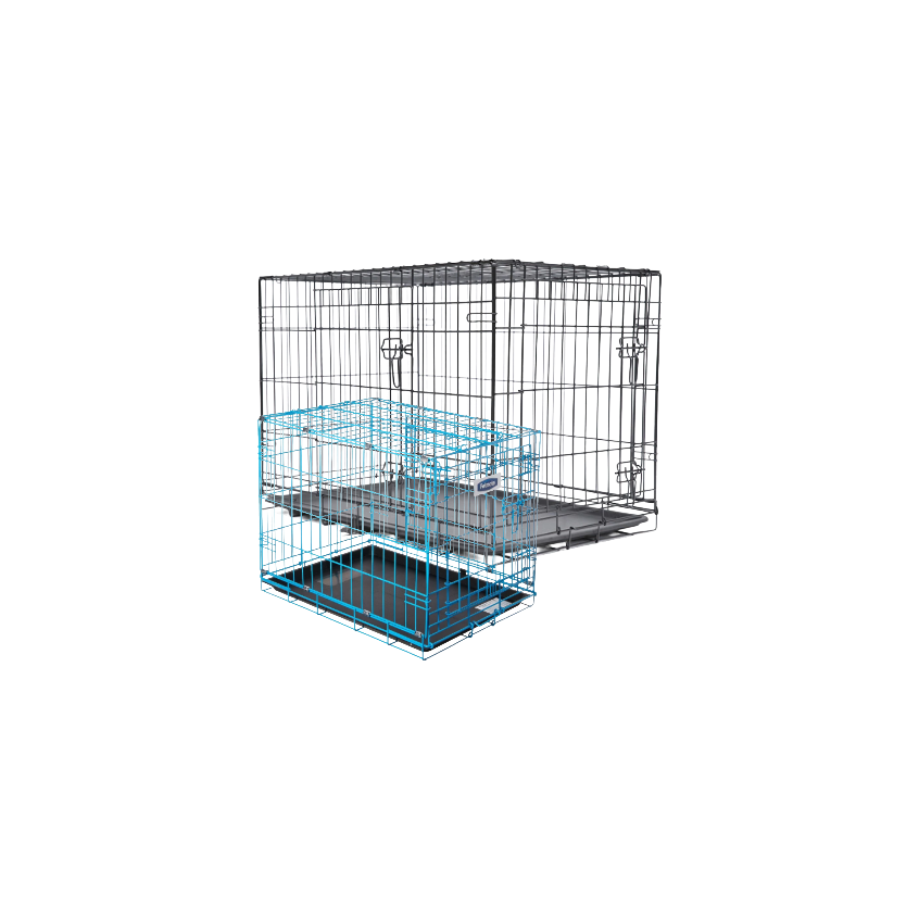 petcrate artwork 3.png