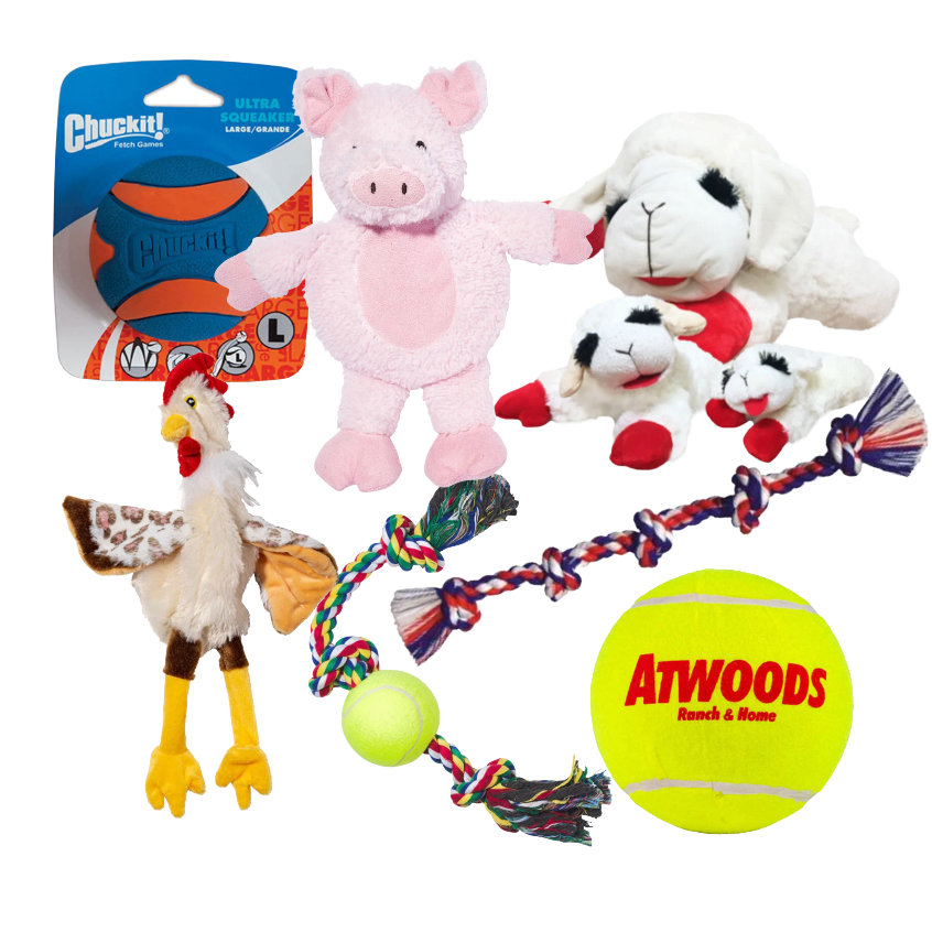 Micro Promo Image