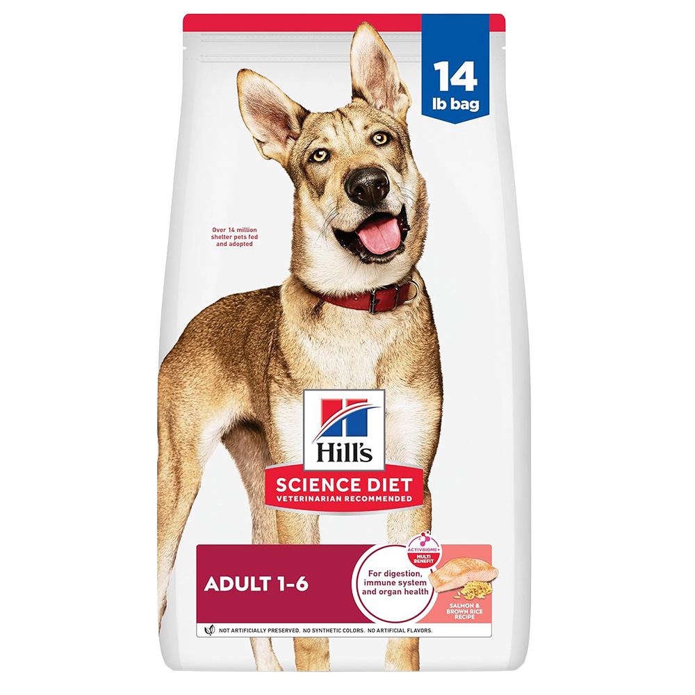 image of Adult Salmon and Brown Rice Dry Dog Food, 14 lb
