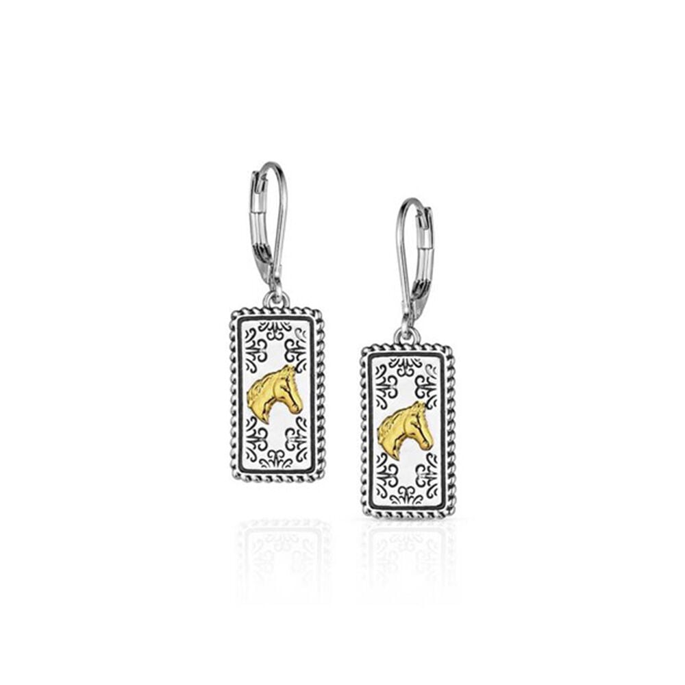 image of Women's Regal Rider Earrings
