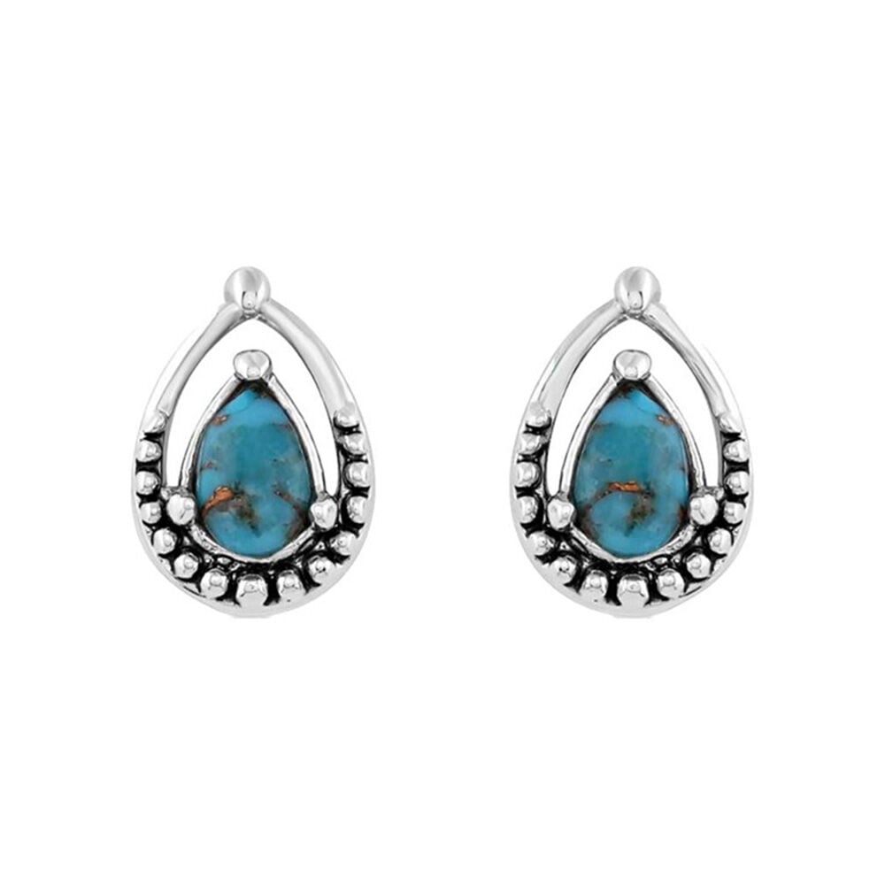 image of Women's Touch of Turquoise Earrings