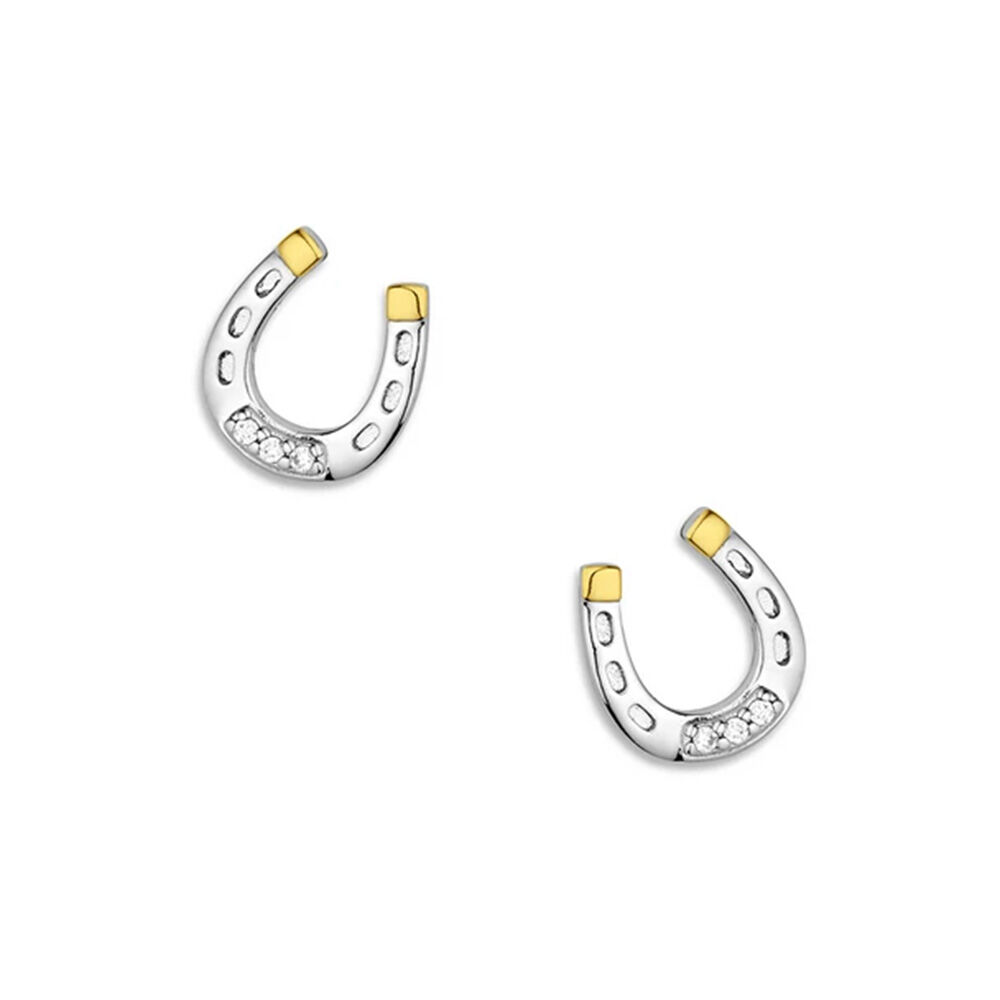 image of Women's Lucky Harmony Earrings