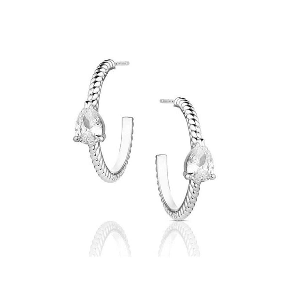 image of Women's Wandering Trail Earrings