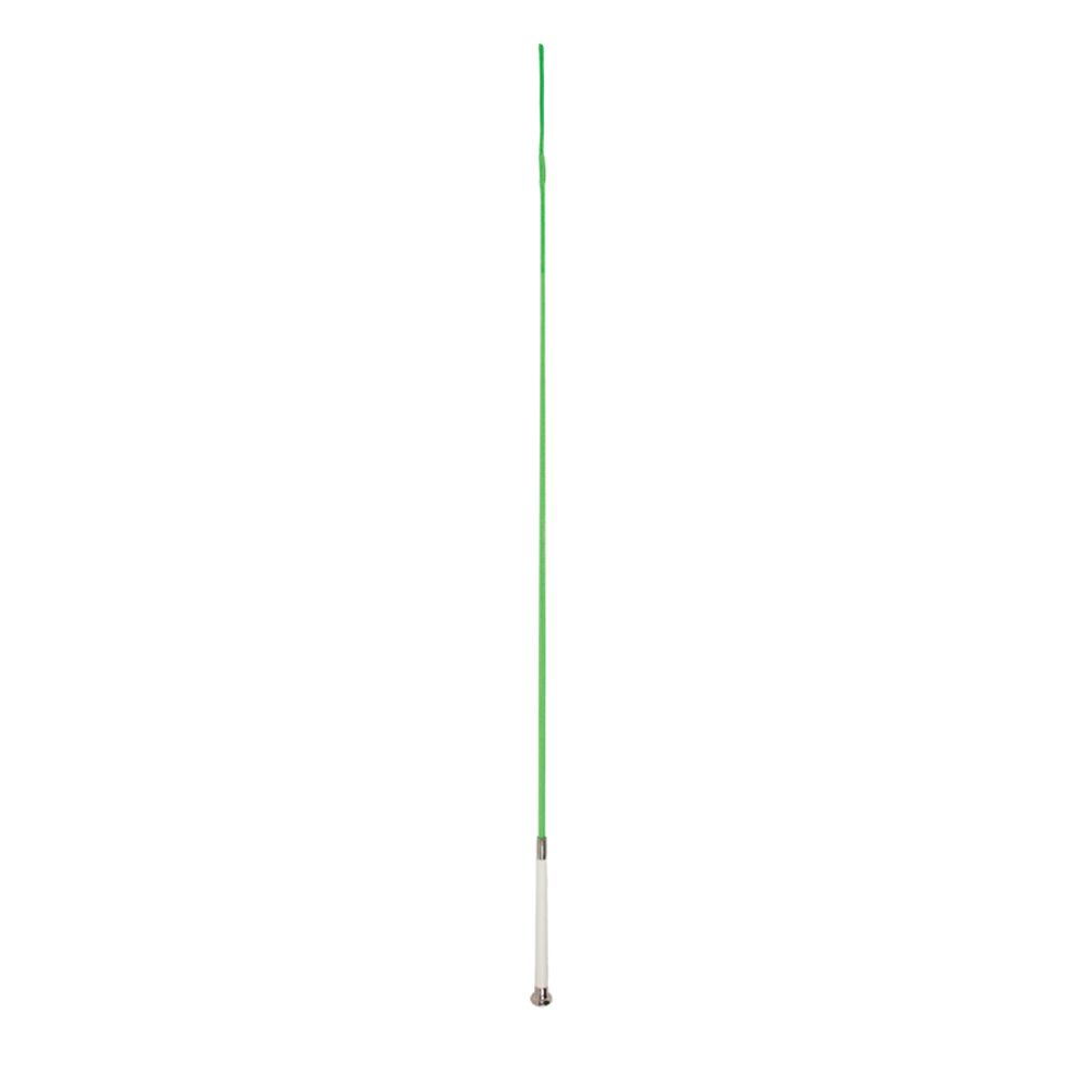 image of Whip, Drassage