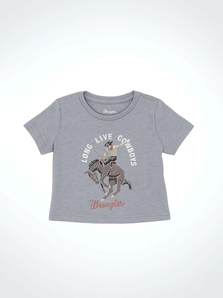 image of Little Boy's Graphic Short Sleeve T-Shirt, Gray