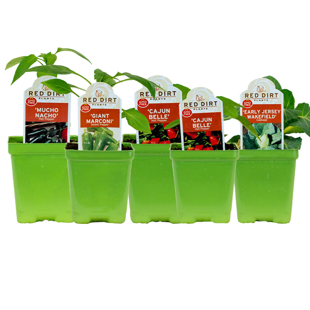 image of 4 in Vegatable Starters, May Vary