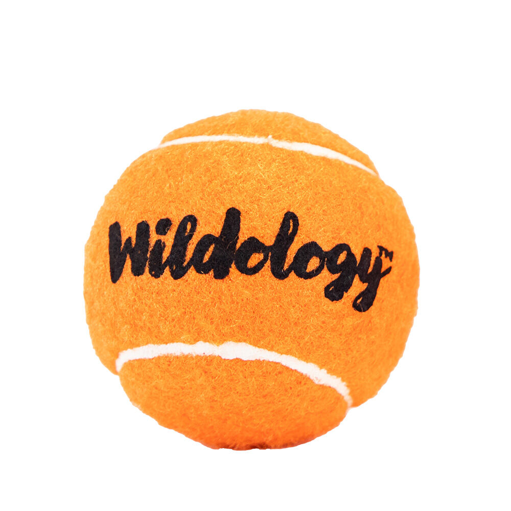 image of Dog Toy- Tuff Ball, 4 in