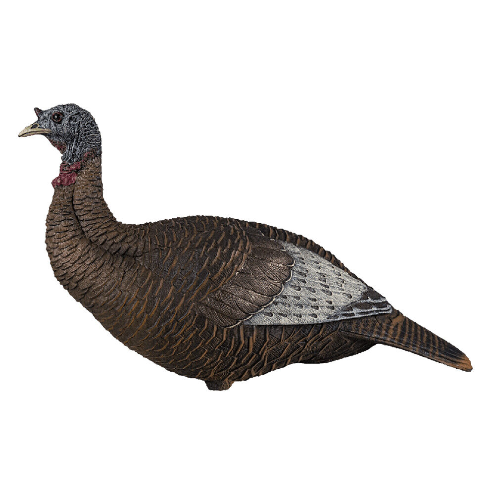 image of Thunder Chick Upright Decoy