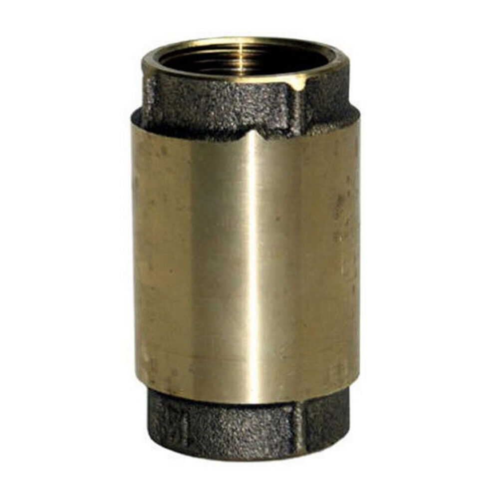 image of 1-Inch BRS Check Valve