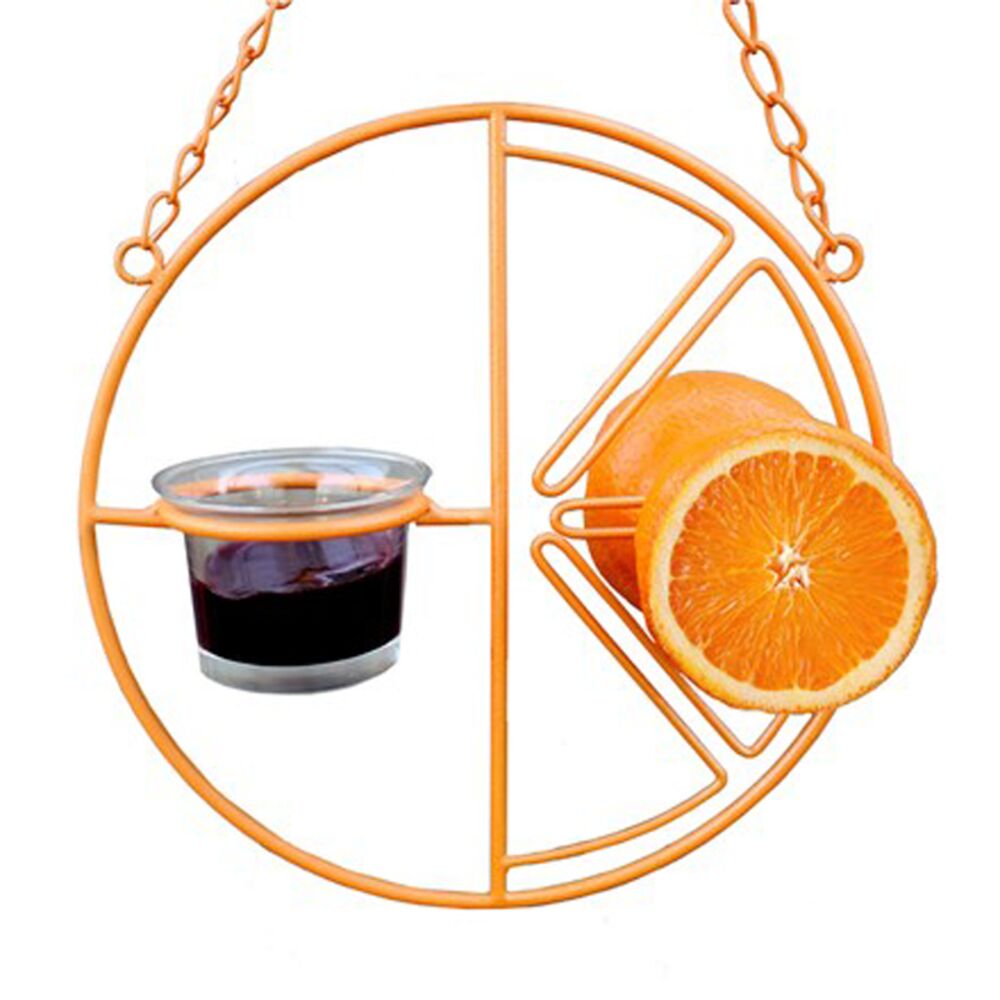 image of Heath Manufacturing Clementine Oriole Feeder