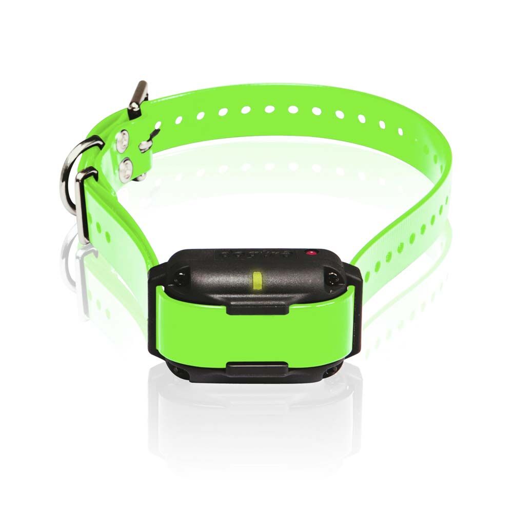 image of EDGE RT Additional Receiver Long Range High-Output 1-Mile Waterproof 3-Dog Expandable Remote Dog Training E-Collar with Combination Boost Control, Green