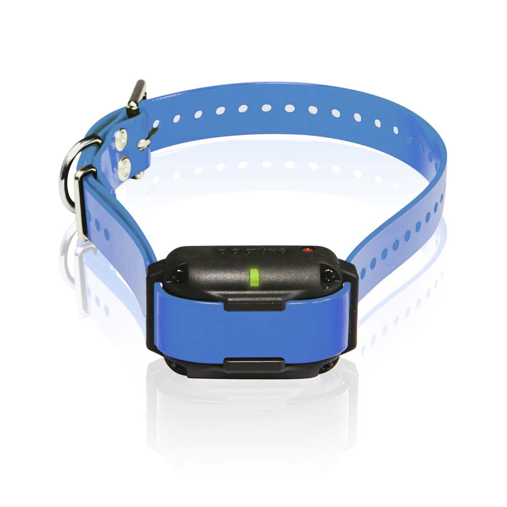 image of EDGE RT Additional Receiver Long Range High-Output 1-Mile Waterproof 3-Dog Expandable Remote Dog Training E-Collar with Combination Boost Control, Blue