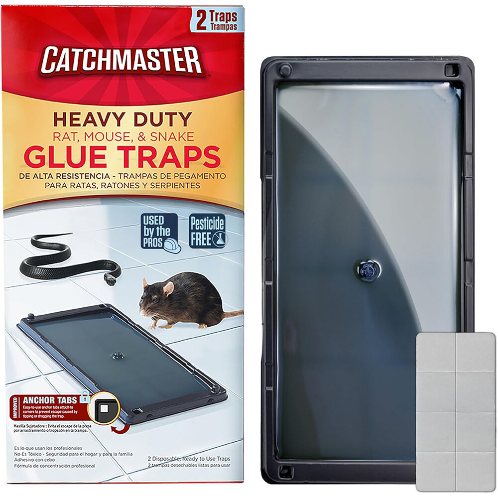 image of Rat and Mouse Glue Traps- 2 pk