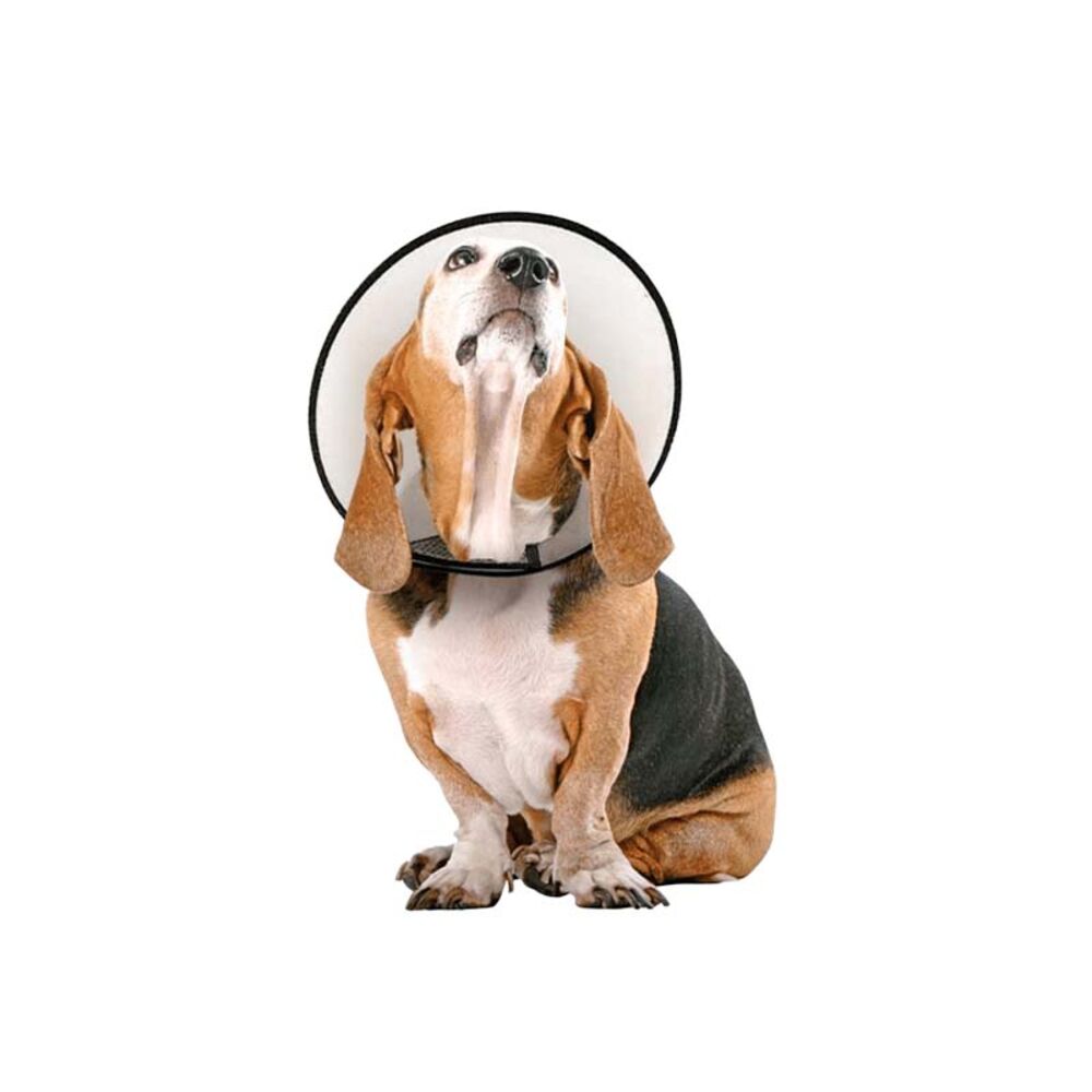 image of Cone Collar, L