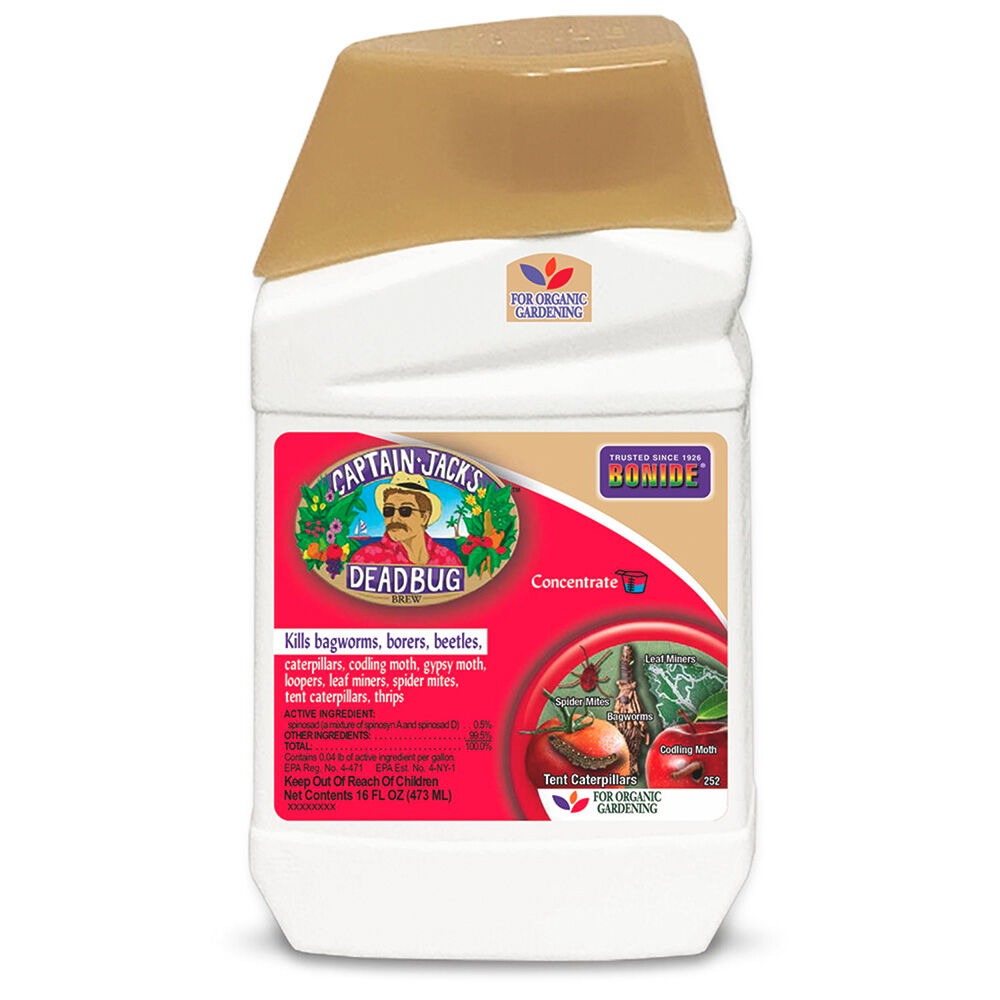 image of 16 fl oz Captain Jack’s DeadBug Brew Concentrate