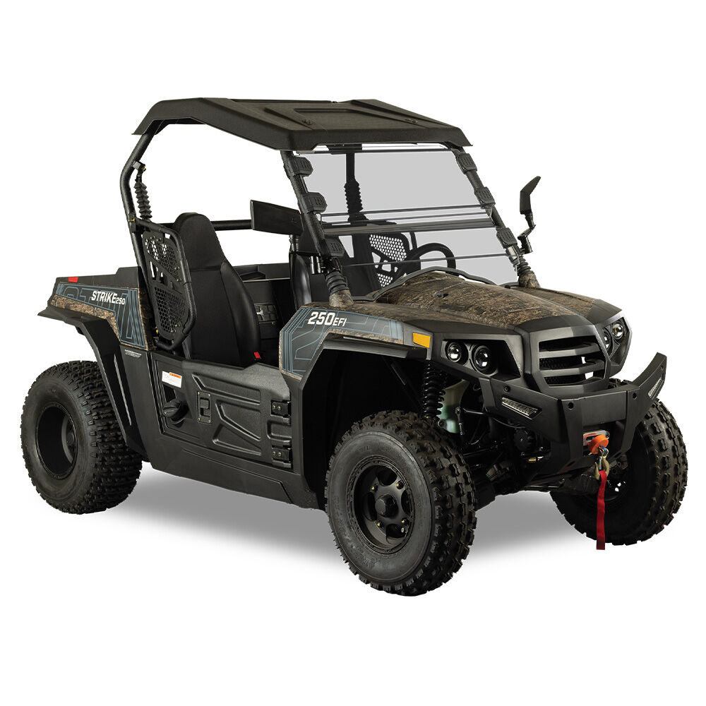 image of Realtree Strike 250R 2WD UTV