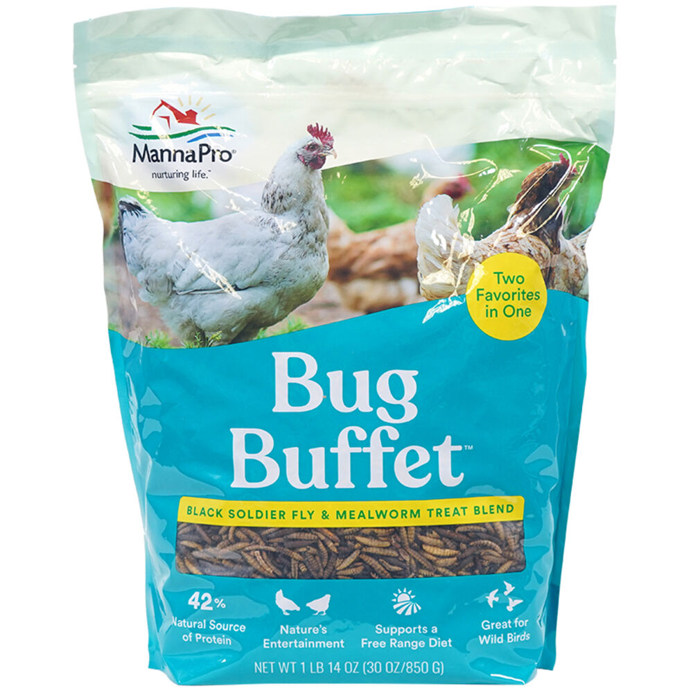 image of Bug Buffet, 30 oz