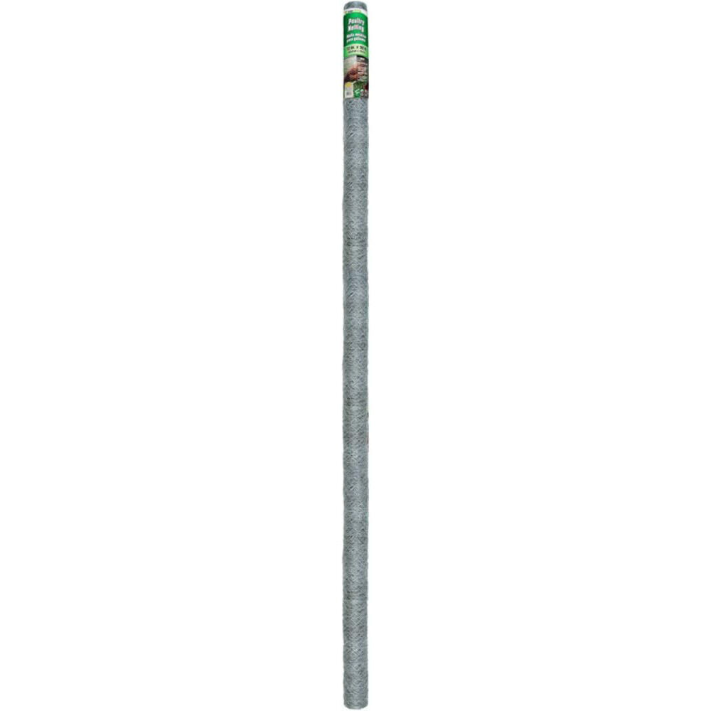 image of 72 in x 50 ft Poultry Netting, 1 in Mesh