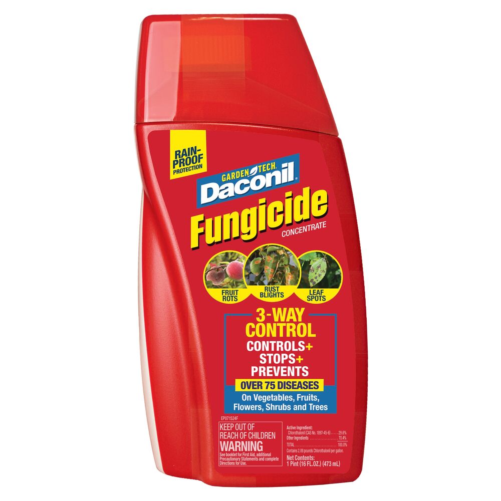 image of Fungicide Concentrate, 16 oz