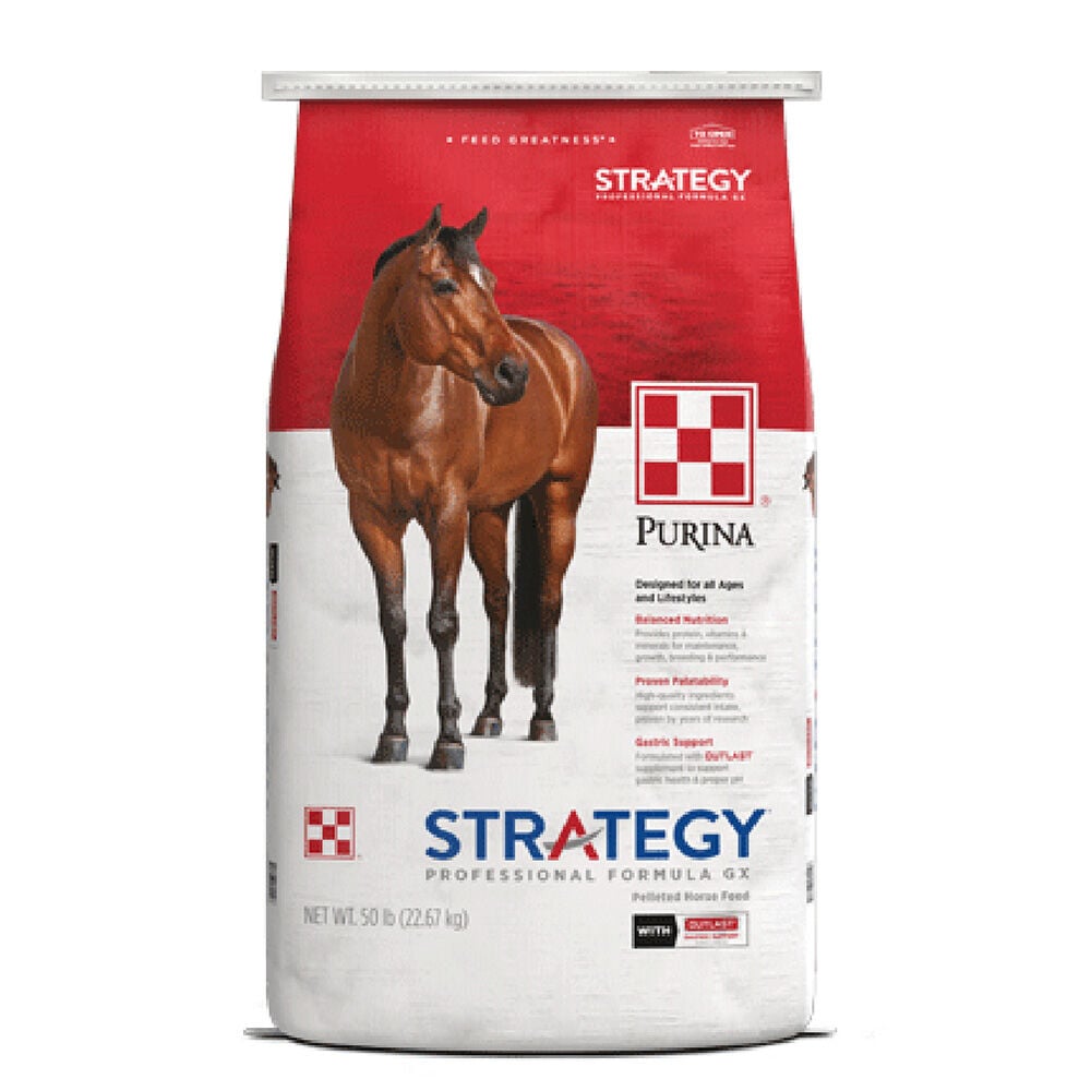 image of Strategy Professional Formula GX Horse Feed, 50 lb