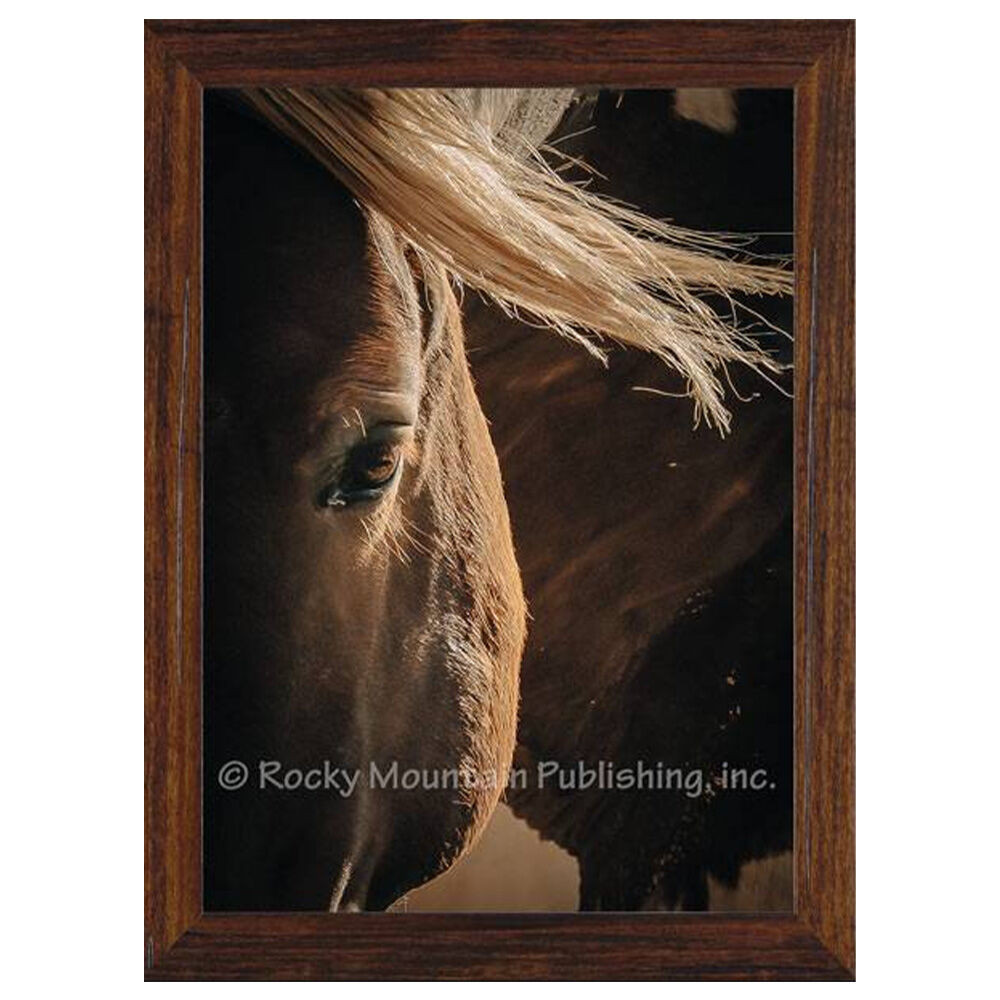 image of 7 x 10 Canvas Wall Art- Heart of Gold by Summer Jackman