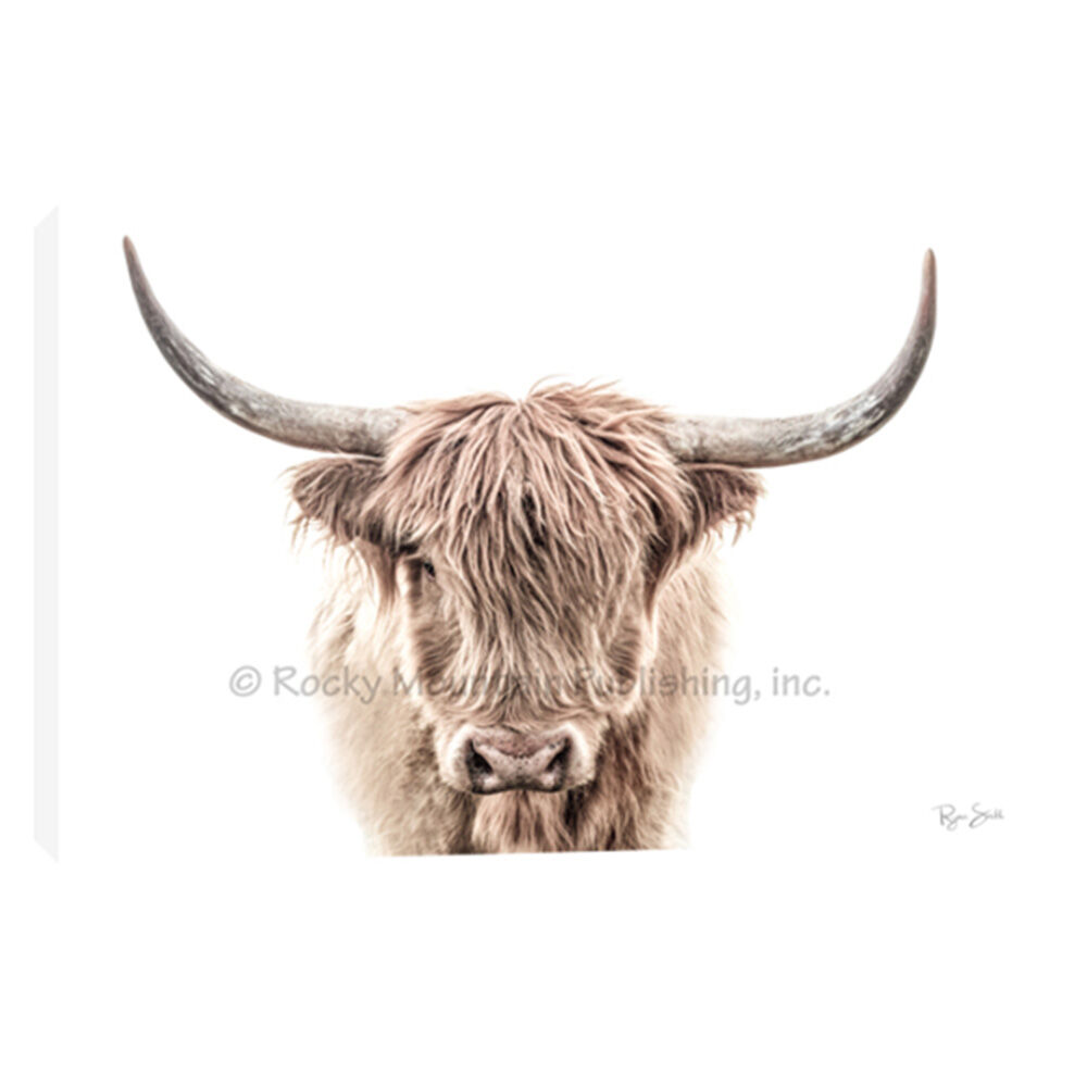 image of 12 x 18 Canvas Giclée Wrap, Fabio