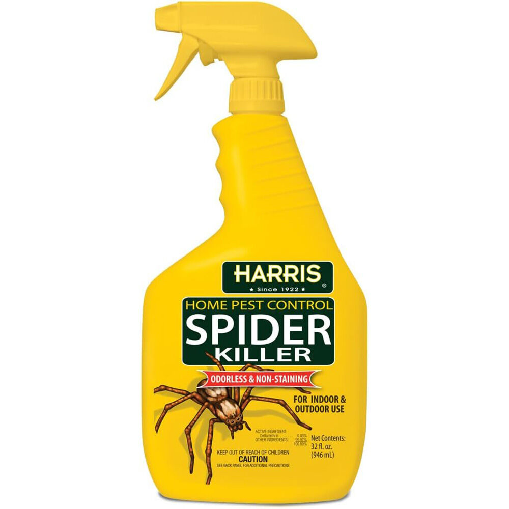 image of Liquid Spray Spider Killer, 32oz