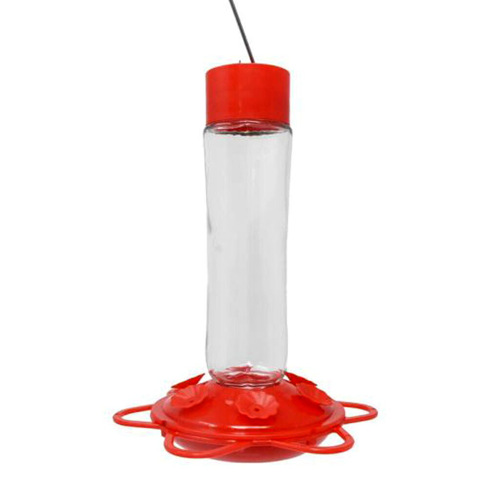 image of Glass Bottle Hummingbird Feeder, 10 oz