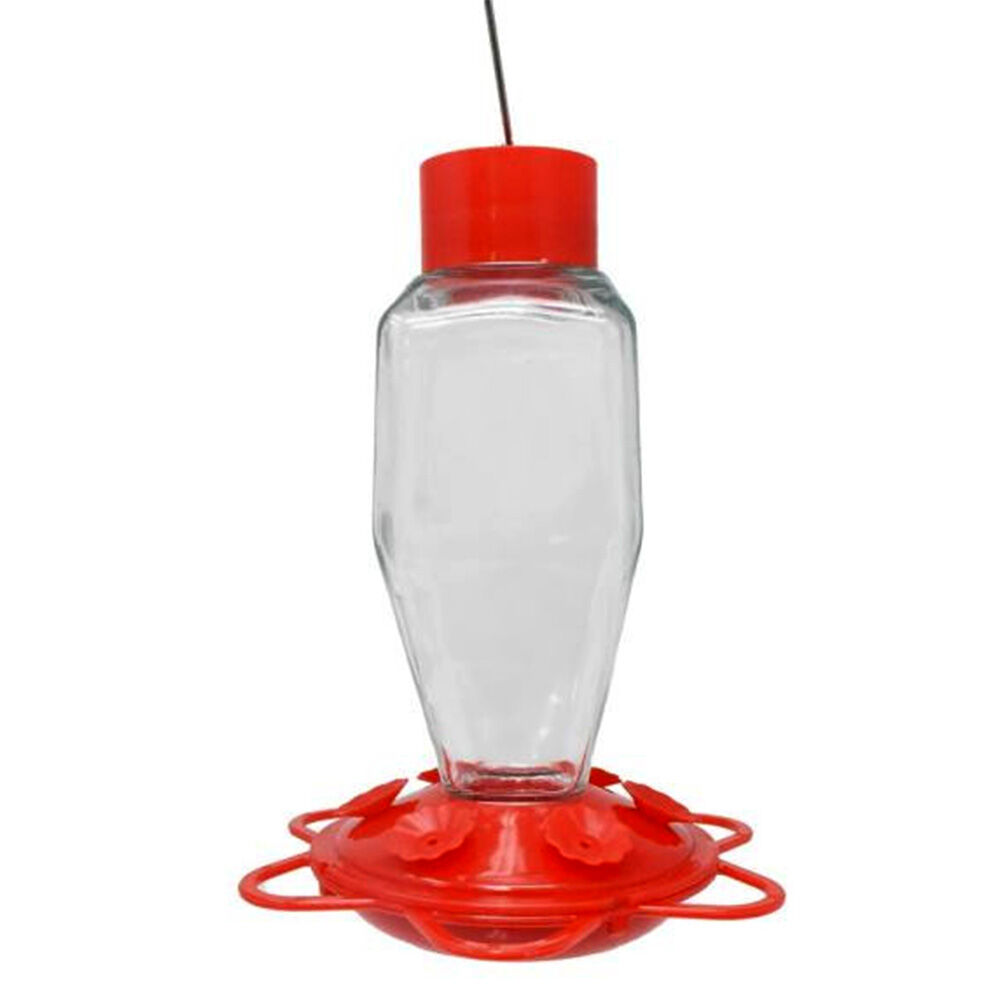 image of Glass Bottle Hummingbird Feeder, 20 oz