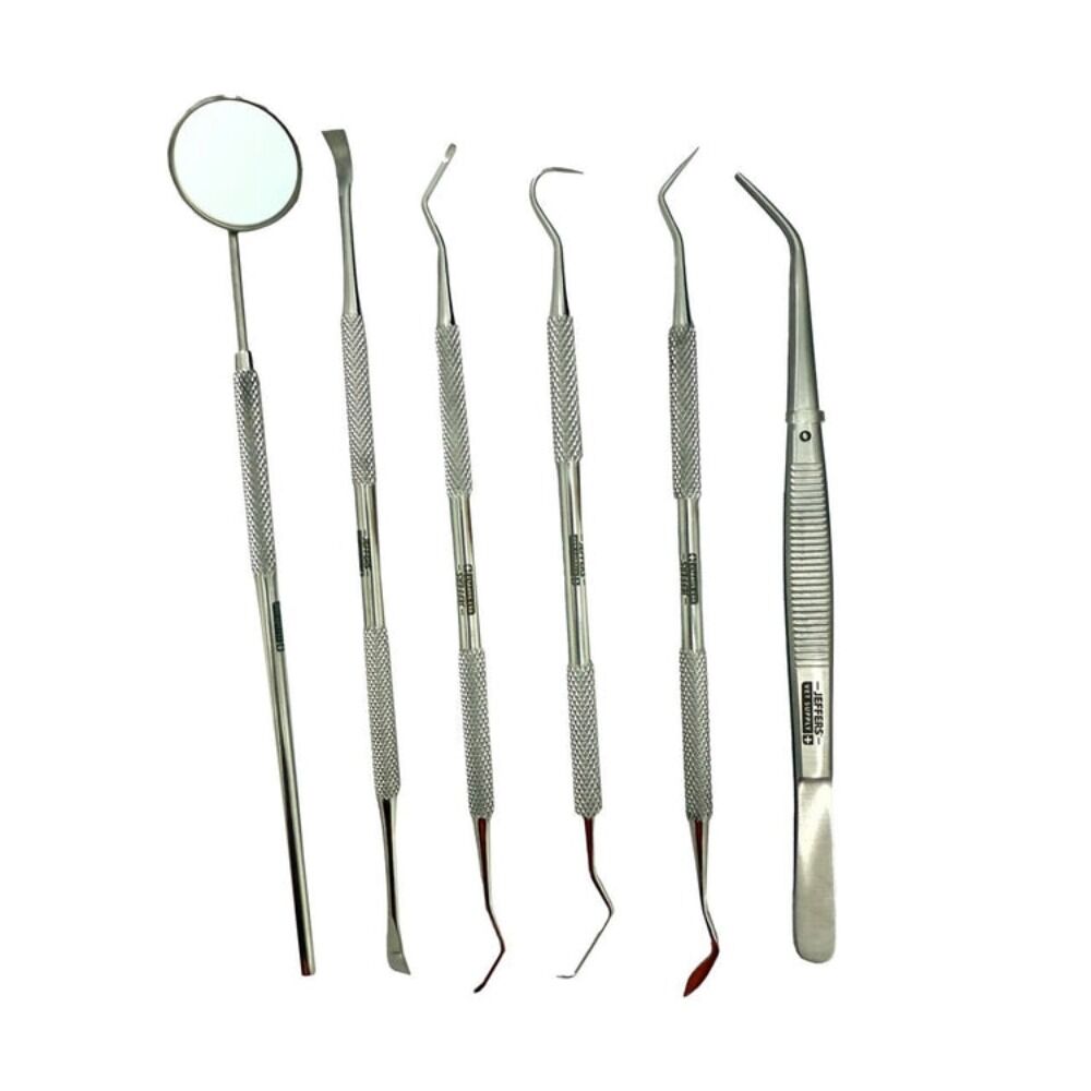 image of Pet Dental Care Kit for Dogs and Cats –  6 pc pk