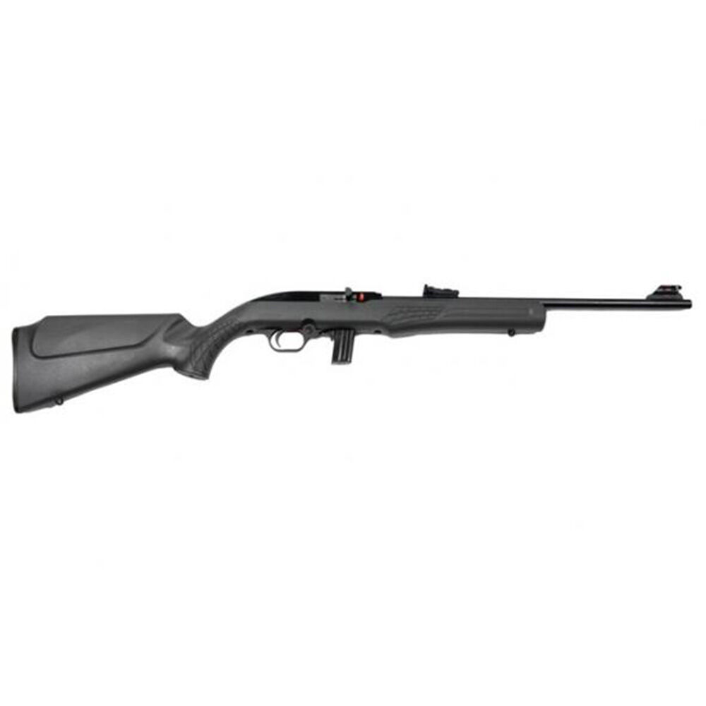 image of RS22 22 LR Semi-Auto Rifle