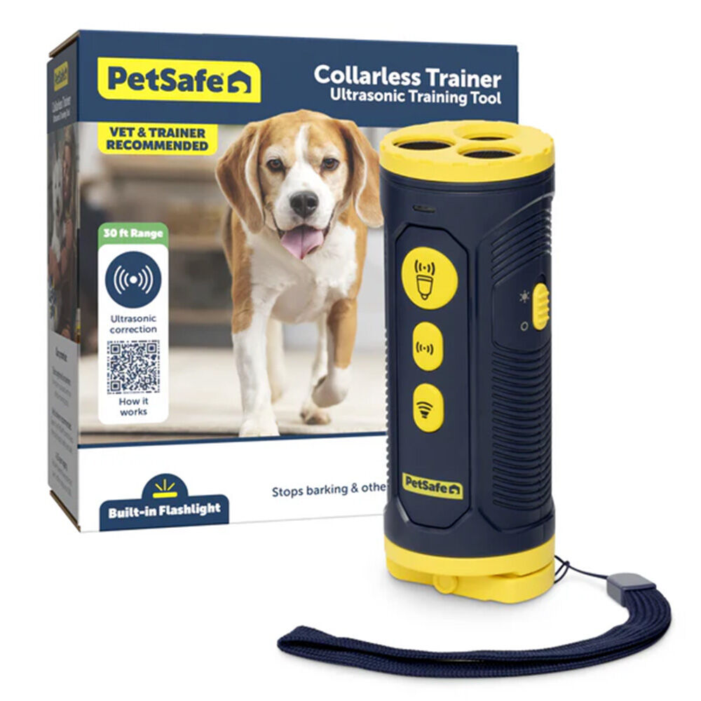 image of Collarless Trainer