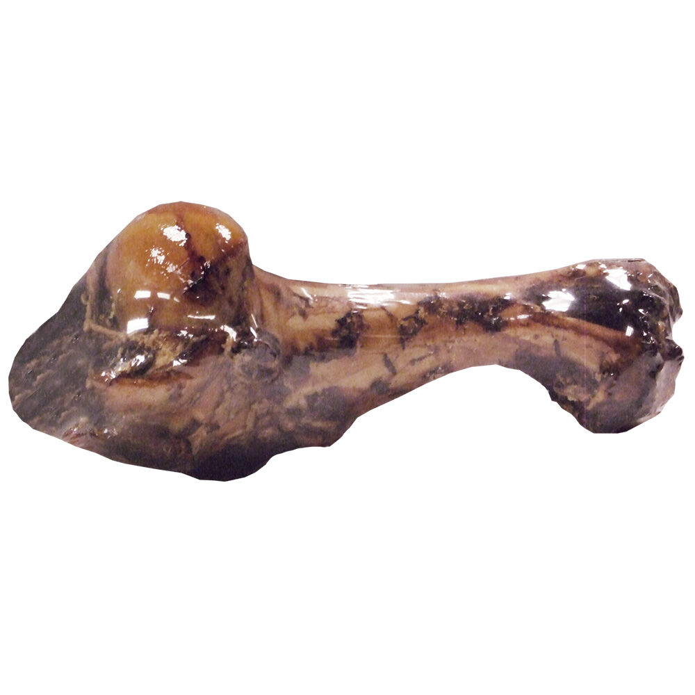 image of 12-14 in Dino Bone Dog Chew