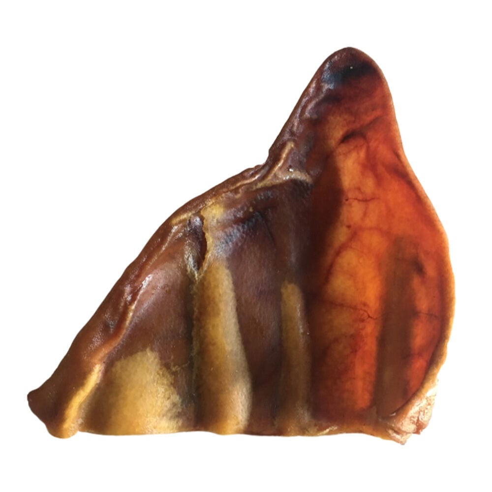 image of Single Pig Ear