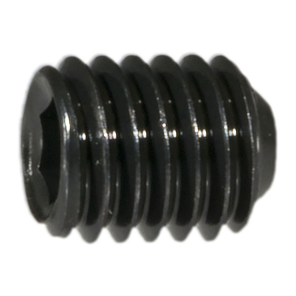 image of 5mm-0.80 x 6mm Coarse Metric Socket Set Screws - 1 Count