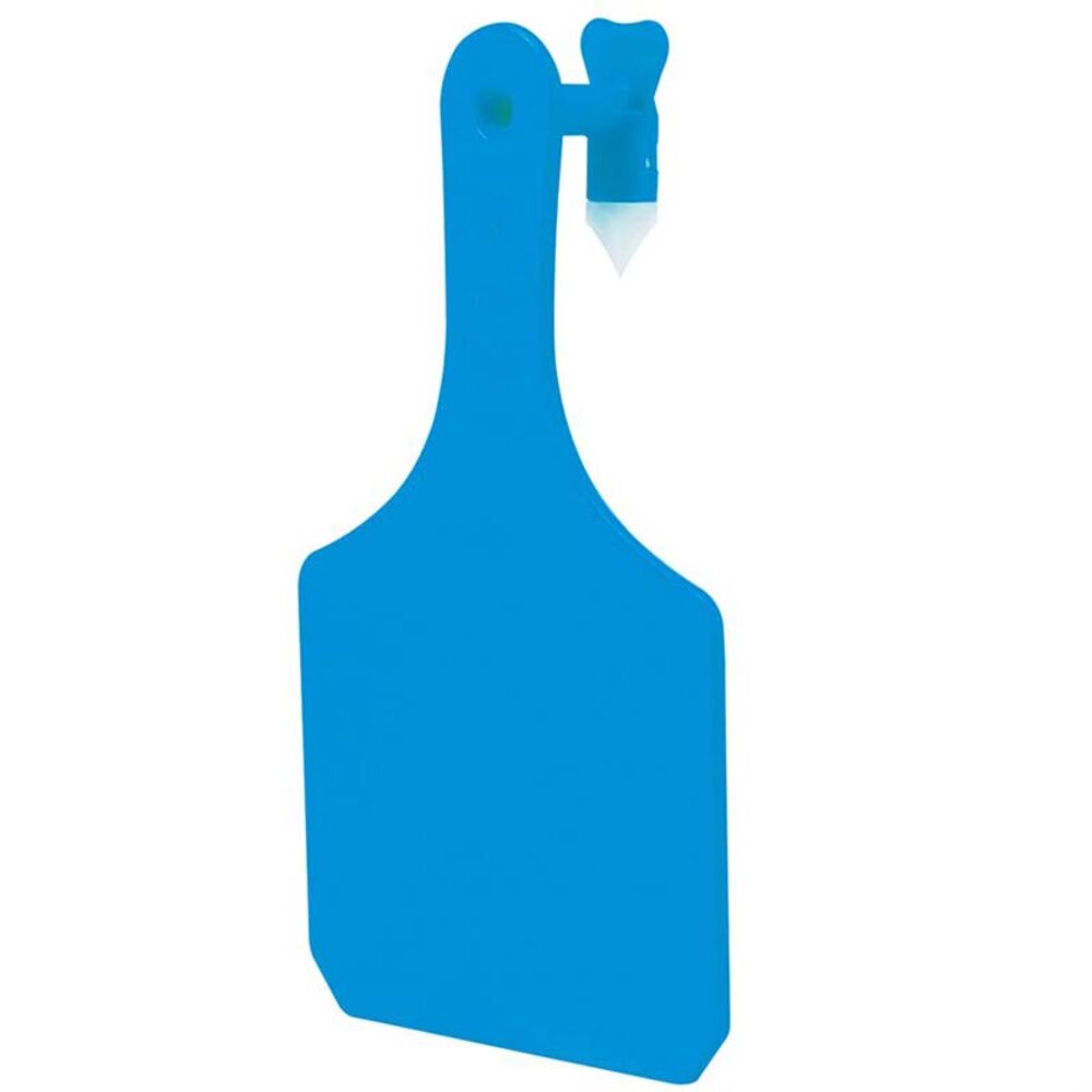 image of Medium Blank Ear Tag, Blue, 25 pk