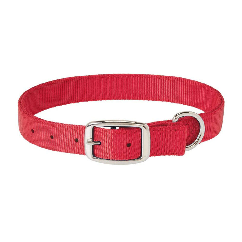 image of Classic Nylon Dog Collar, Red, 1-inch X 23-inch