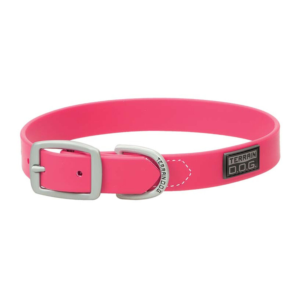 image of Brahma Webb Dog Collar, Hot Pink, 3/4 in x 15 in