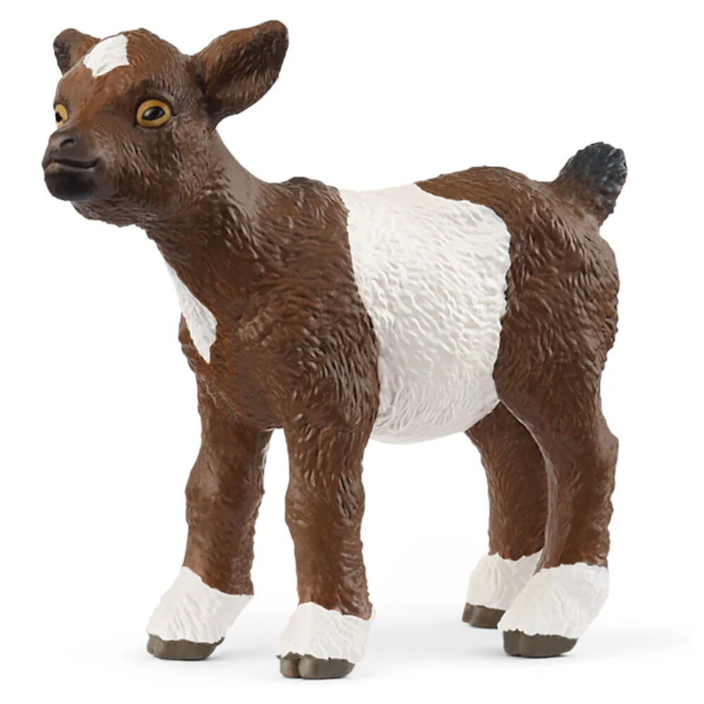 image of Goat, kid