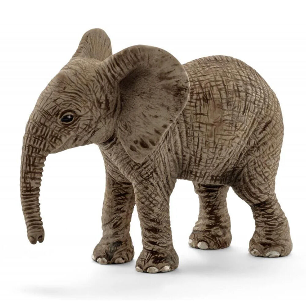 image of African Elephant, calf
