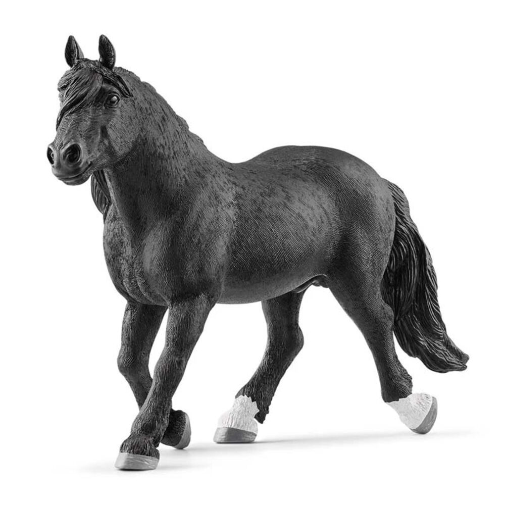 image of Noriker,stallion