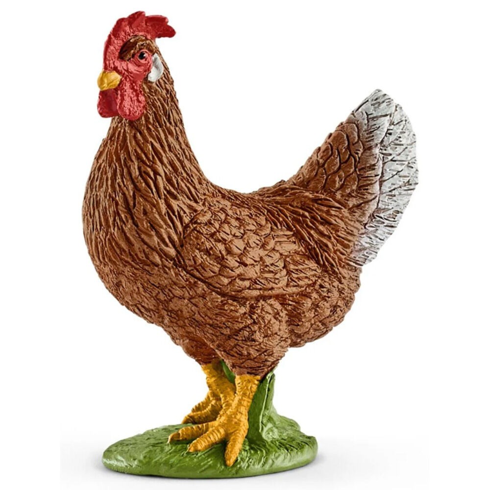 image of Hen