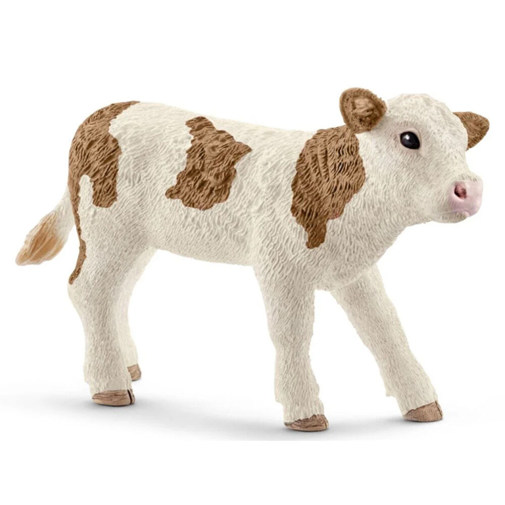 image of Simmental, calf