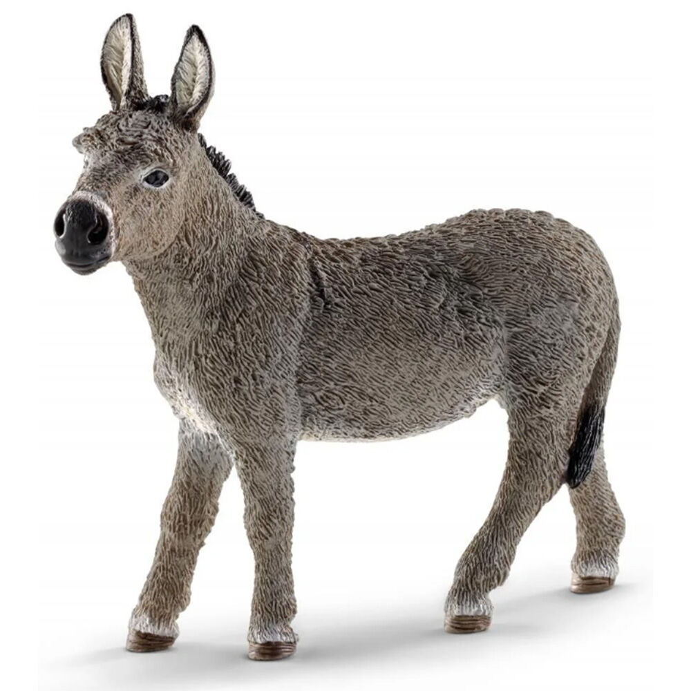 image of Donkey