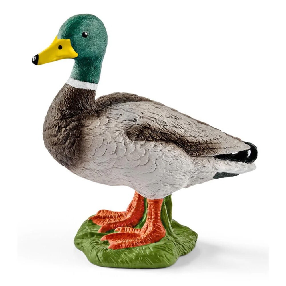 image of Drake